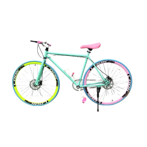 Single speed Model bike